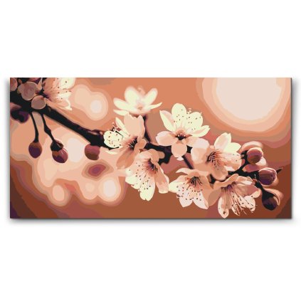 M2_Painting_by_Numbers_-_Spring_blossoms_of_sakura