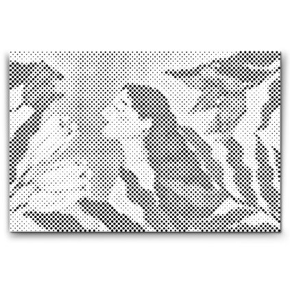 M2_Dotting_Points_-_Illustration_-_Femininity_2