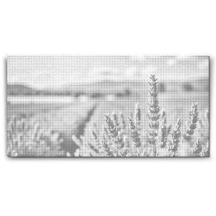 M2_Dotting_Points_-_Lavender_field