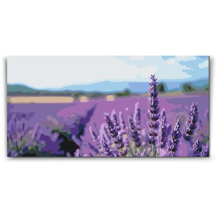 M2_Painting_by_Numbers_-_Lavender_field