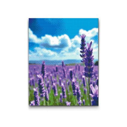 M2_Diamond_Paintings_-_Lavender_in_the_field
