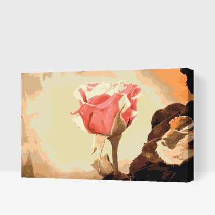 Paint by Number - Vintage Rose 3