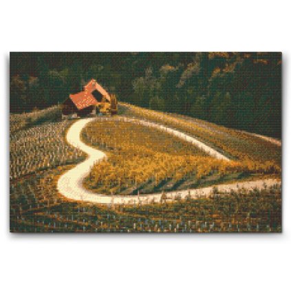 Broderie diamant - Vignoble en forme de cœur au bord de la route, Maribor - Slovénie