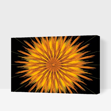 Paint by Number - Abstract Flower