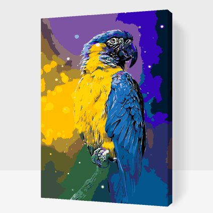 Paint by Number - Parrot