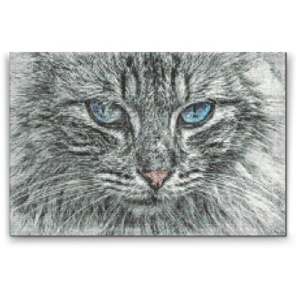Diamond Painting - Cat Portrait
