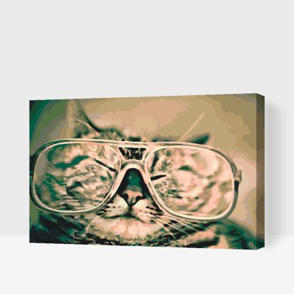 Paint by Number - Cat with Glasses