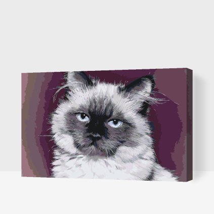 Paint by Number - Portrait of Cat