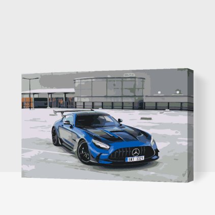 Paint by Number - Mercedes