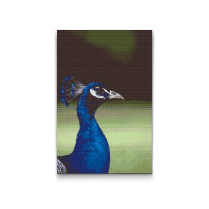 Diamond Painting - Peahen
