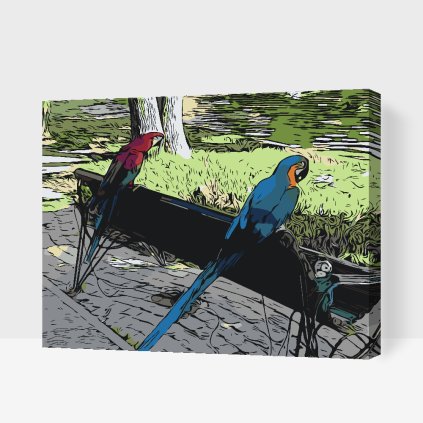Paint by Number - Parrots in the Park