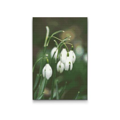 Diamond Painting - Lilies of the Valley