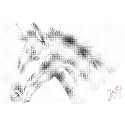 Dotting points - Horse