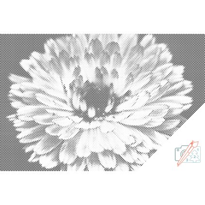 Dotting points - Spring Flower