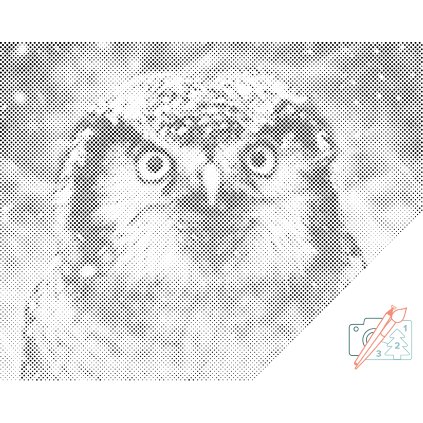 Dotting points - Owl