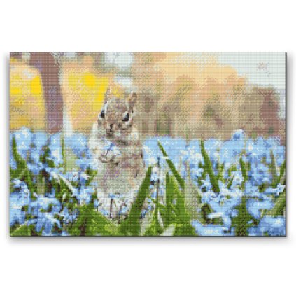 Diamond Painting - Squirrel in the Garden