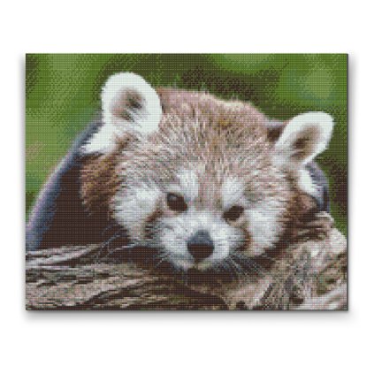 Diamond Painting - Red Panda