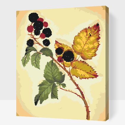 Paint by Number - Vintage Blackberry