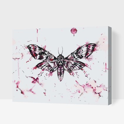 Paint by Number - Butterfly Painting