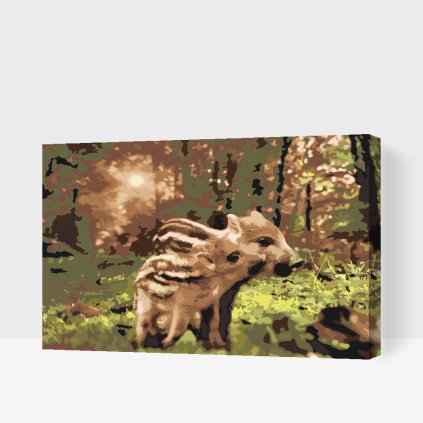 Paint by Number - Family of Wild Boars