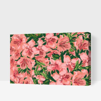 Paint by Number - Pink Flowers 2