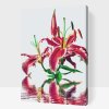Paint by Number - Pink Lily