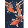 Paint by Number - Gold Fish 2