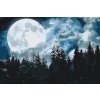 Paint by Number - Full Moon over the Forest