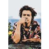 Paint by Number - Harry Styles 5