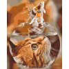 Paint by Number - Cats View of a Goldfish