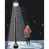 Paint by Number - Woman under a Lamp and Falling Snow