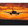 Paint by Number - Flight at Sunset
