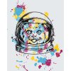 Paint by Number - NASA Cat