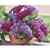 Paint by Number - Lilac in a Basket