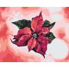 Paint by Number - Poinsettia
