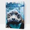 Paint by Number - Seal under Water