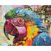 Paint by Number - Colorful Parrot