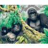 Paint by Number - Gorillas