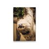 Diamond Painting - Sloth 2