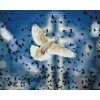 Diamond Painting - Dove