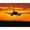 Diamond Painting - Flight at Sunset