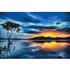 Paint by Number - Sunset and Dark Tree