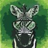 Paint by Number - Zebra with Glasses