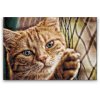 Diamond Painting - Cat on the Fence