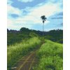 Diamond Painting - Bali Rice Walk