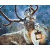 Diamond Painting - Deer with Lantern