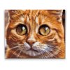 Diamond Painting - Cat Eyes 2