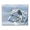 Diamond Painting - White Leopard
