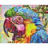 Diamond Painting - Colorful Parrot