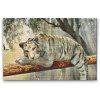 Diamond Painting - White Tiger